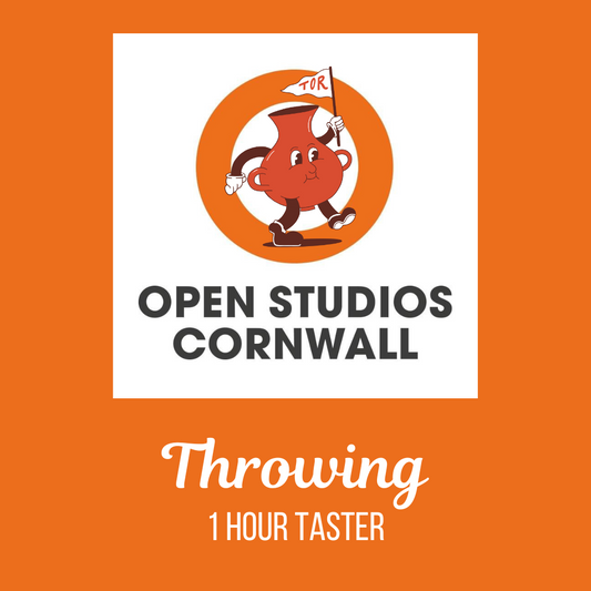 Open Studios Cornwall - Throwing Speed Taster